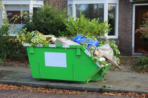 Professional team assisting with skip placement